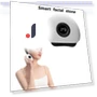 Electric Facial Massager with Gua Stone — Rollers & Pens, Crown Global