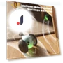 Interactive Smart Toy for Cats — Cat Playthings, Love Pet House