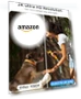 Thumbnail Wireless Outdoor Security Camera — Security Cameras, ELECCTV