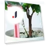 Self-Watering Spikes System — Drip Kits, Wanghengch