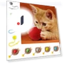 Automatic Self-Rolling Smart Cat Toys — Cat Playthings, shghaon