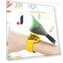 Interactive Toy Bird with Sound and Motion Control — Interactive Learning Devices, Zhonghefu