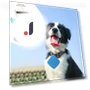 Mini Pet Locator with Loss Protection — Item Locators, JIOUjitang