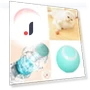 Rechargeable Smart Motion Kitten Toy Ball — Cat Playthings, Ruishengtong