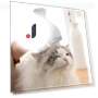 Smart Pet Massage Comb — Combs, Jiaqiinfee