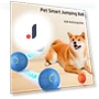 Rechargeable Smart Ball for Dogs — Balls, Renran