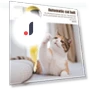 Electric Cat Toy with Feathers — Cat Playthings, Pet park