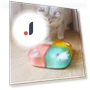 Interactive Automatic Cat Toy Whack-A-Mole — Cat Playthings, Pet park