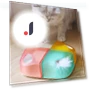 Interactive Cat Toy Puzzle — Cat Playthings, HappyToy