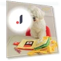 Interactive Dog Toy with Sound and Hidden Treat — Toys