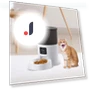Smart Automatic Pet Feeder with Timer — Automatic Feeders, Chinese Style
