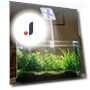 Aquarium LED Clip Light with 360° Rotation — Lights, Jiaqiinfee