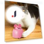 Electric Moving Mouse Toy for Cats — Mice & Animals, Pet park