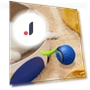 Interactive Cat Toy Ball — Cat Playthings, Pet park
