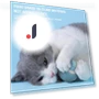 Interactive Smart Toy for Cats — Cat Playthings, Pet park