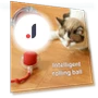 Automatic Electric Rolling Ball Cat Toy — Cat Playthings, Wotypea