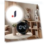 Ultrasonic Alarm Clock with Glow-in-the-Dark Display — Alarm, Houspace