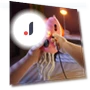 Electric Dancing Octopus Toy — Musical Toys, Sports Accessory