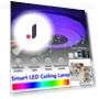 Smart RGB LED Ceiling Light — Overhead Lighting, Decor Dream