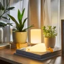 LED Duck Night Light — Night Lights, Great3C