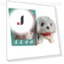 Realistic Robotic Puppy Toy — Interactive Animal Companions, Henglinpar