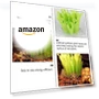 Thumbnail Reptile Humidifier Plant Design — Lighting, Parliky