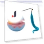 Interactive Cat Toy with Tail — Cat Playthings, KOBE777