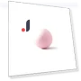 Automatic Rolling Ball Toy — Cat Playthings, BC Pet Supplies