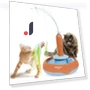 Interactive Cat Toy — Cat Playthings, Smart Pet Supplies