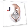 LED Facial Beauty Device — Facial Steamers, Binchi Health Technology