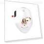LED Skin Rejuvenation Mask — Sets & Kits, Binchi Health Technology
