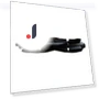Roller Brush 6500 — Accessories, Refreshing Home