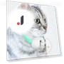 Smart Teasing Collar for Cats — Cat Playthings, Challenge