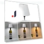 Wireless USB Charging Lamp in Wine Bottle Shape — Study & Desk Lighting, YJMP home