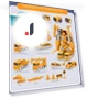 Magnetic Deformation Robot — Construction Kits, ZhenDuo Toy