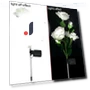 Solar Garden Street Lights — Outdoor Post Lighting, Smart Mouse