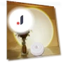 Touch LED Lights — Tap Lights, MnnWuu