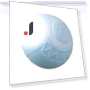 Interactive Cat Ball — Cat Playthings, Love Pet House