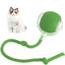 Interactive Rolling Ball Pet Toy — Cat Playthings, Appreciate