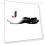 Roller Brush 6500 — Vacuum Attachments, Betterlife Household