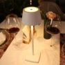 Decorative Rechargeable LED Table Night Lights — Desk & Table Lighting, Zhou Yajin