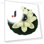 Automatic Sensor Smart Switch Solar Light Lotus Wish Lantern Garden — Garden Illumination, zhongluo