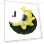 Automatic Sensor Smart Switch Solar Light Lotus Wish Lantern Garden Yellow — Garden Illumination, zhongluo