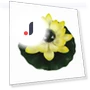 Waterproof Solar Lotus Lamp — Outdoor Floor Lighting, Yeewangw