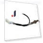 Oxygen sensor — Camshaft Position, Tesla Car parts