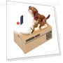 Cartoon Robotic Dog Steal Coin Bank — Savings & Piggy Banks, Simple and warm
