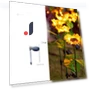 Solar Sunflower Street Lamp — Garden Illumination, LIUXING Fire Solar Lamp