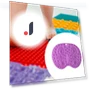 Touch Mat — Floor Games, Closet of Beauty