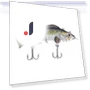 Electronic Robotic Fish — Traps, Luminaire Lighting Mall