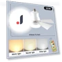 LED Ceiling Fan with Light and Remote Control — Ceiling Fan Lighting Solutions, Your Warm Home